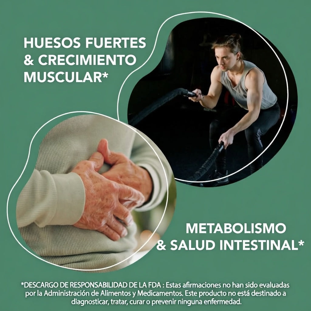 Premium Gelatin Powder